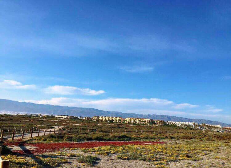 Apartamento Lujo, Primera Linea Playa, Garaje, Wifi, Piscina Climatizada Roquetas de Mar Kültér fotó